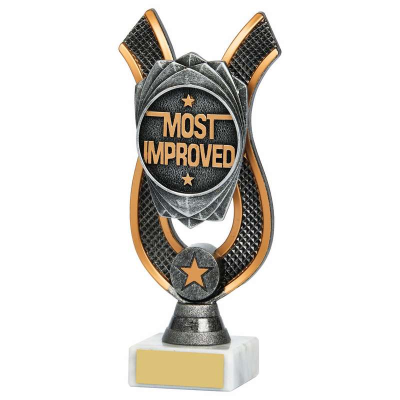 Most Improved Award 180mm – Ant Silver